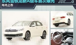 雪铁龙最新爆料新闻,全新车型亮相，技术革新引行业关注