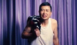 铲屎官爆料黑社会视频,惊心动魄的猫界风云